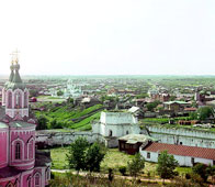 Далматово. Панорама города с колокольни монастыря