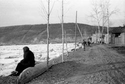 Киренск. В ожидании большой воды весной 1966 года