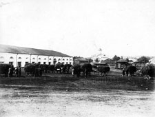 Петрозаводск. Сенная площадь, базар, 1899 год