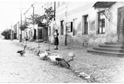 Таруса. Улица Октябрьская, 1953 год