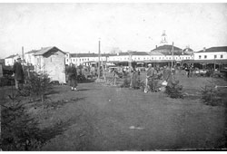 Юрьев-Польский. Посадка хвойных деревьев на валу, 1933 год