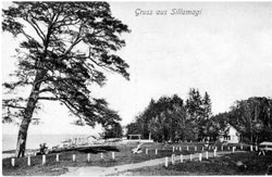 Силламяэ. Вид города, 1910 год