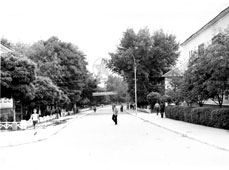 Амвросиевка. Улица Ленина