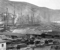 Балаклава. Война 1853-56 года, корабли союзников