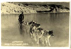 Петропавловск-Камчатский. Упряжка ездовых собак, 1948 год