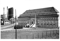 Советск. Фабрика целлюлозы Waldhof, 1930-1940 годы