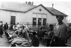 Атырау. Рыбный рынок в Жилгородке, 1959 год