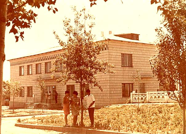 Bashtanka. District Library, 1968