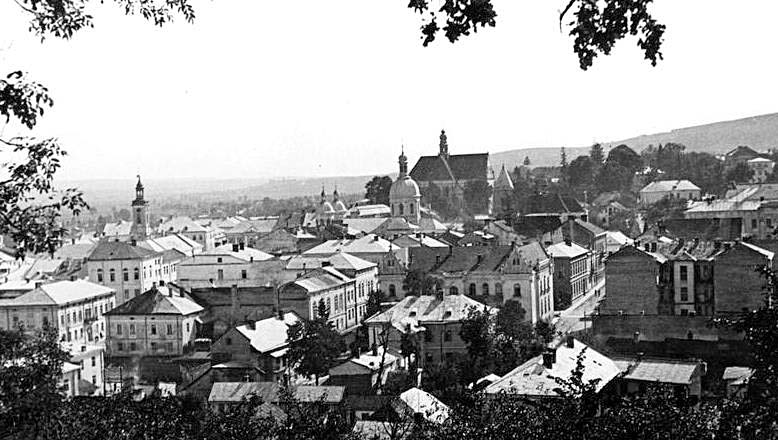 Berezhany. Panorama of the city