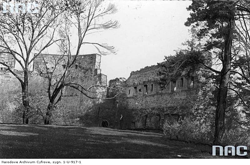 Dobromyl. Panorama of the ruins of the castle